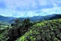 一区二区三区在线-探索一区二区三区的在线世界，解锁数字时代的多元学习与交流新篇章